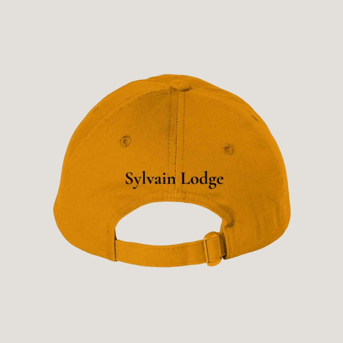 Sylvain Lodge Step Different Dad Hat